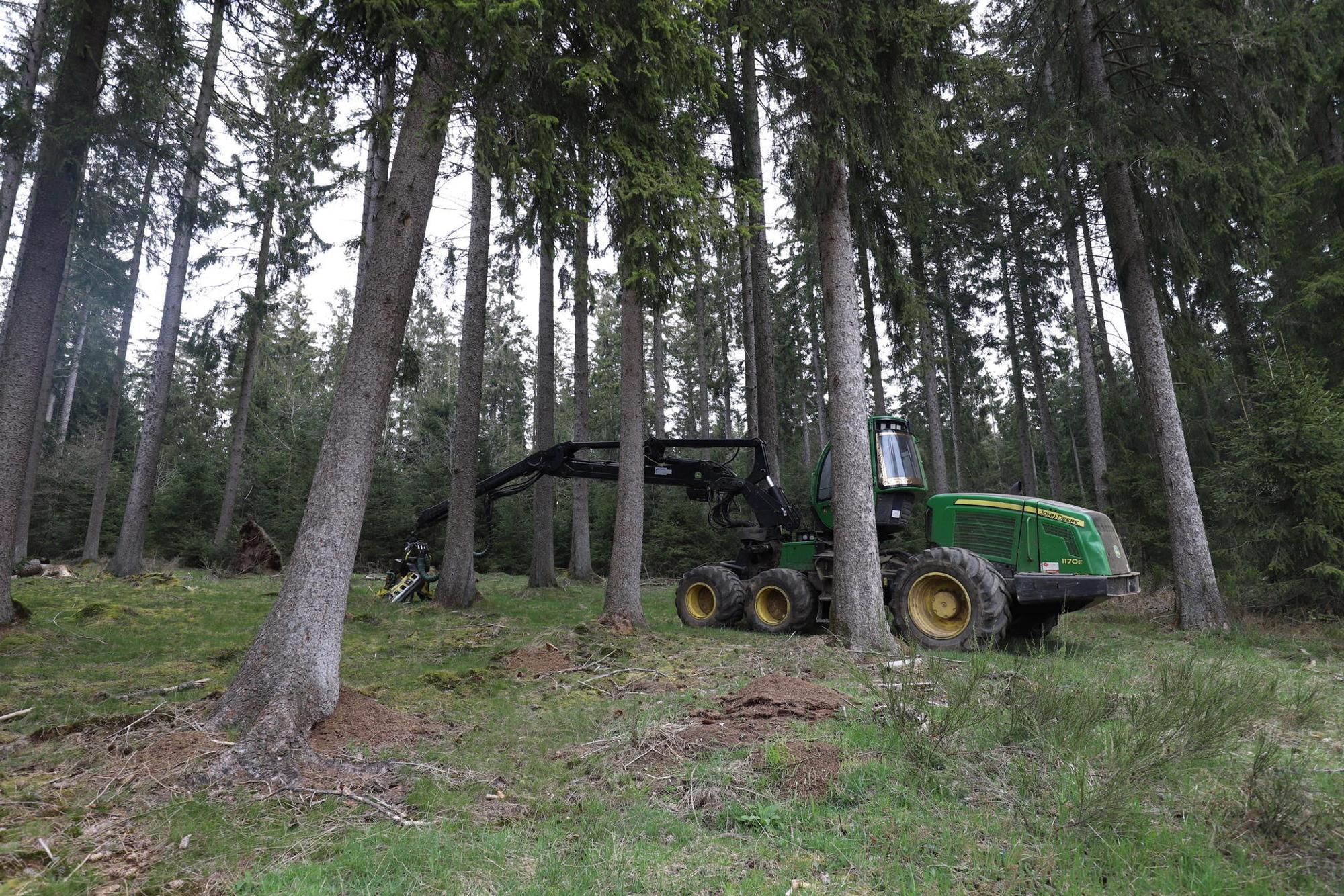Harvesterfahrer_1
