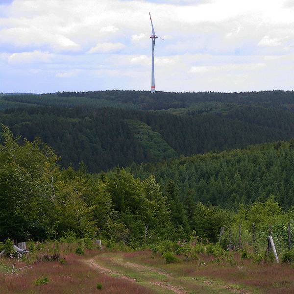 Windpark Dahlem