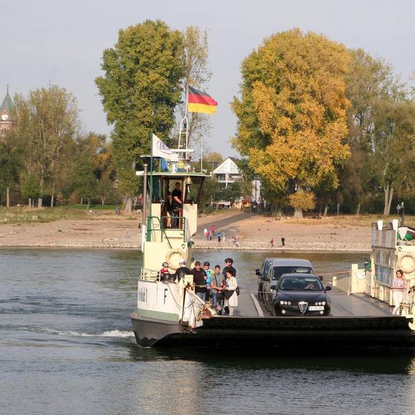 Neuer Inhalt