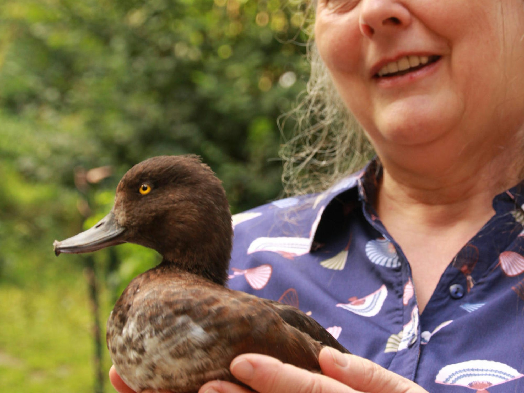 MDS-KSTA-2021-08-17-71-173862348