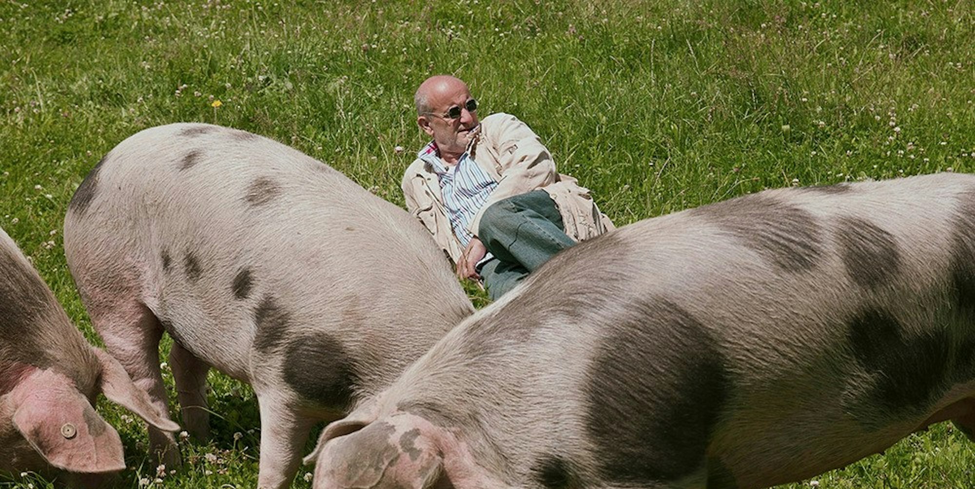 Franz Keller Schweine