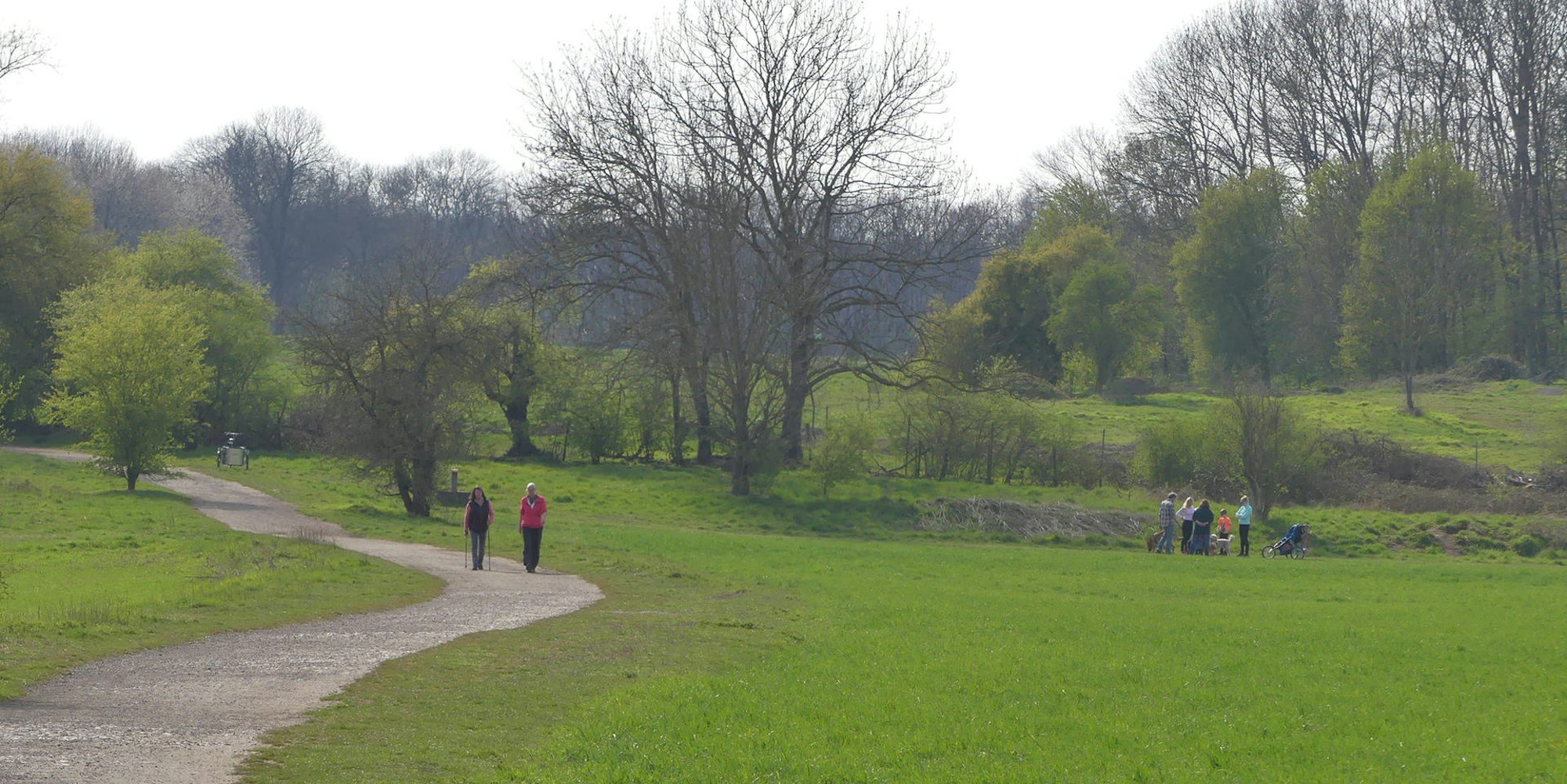 roes-gruenguertel-001