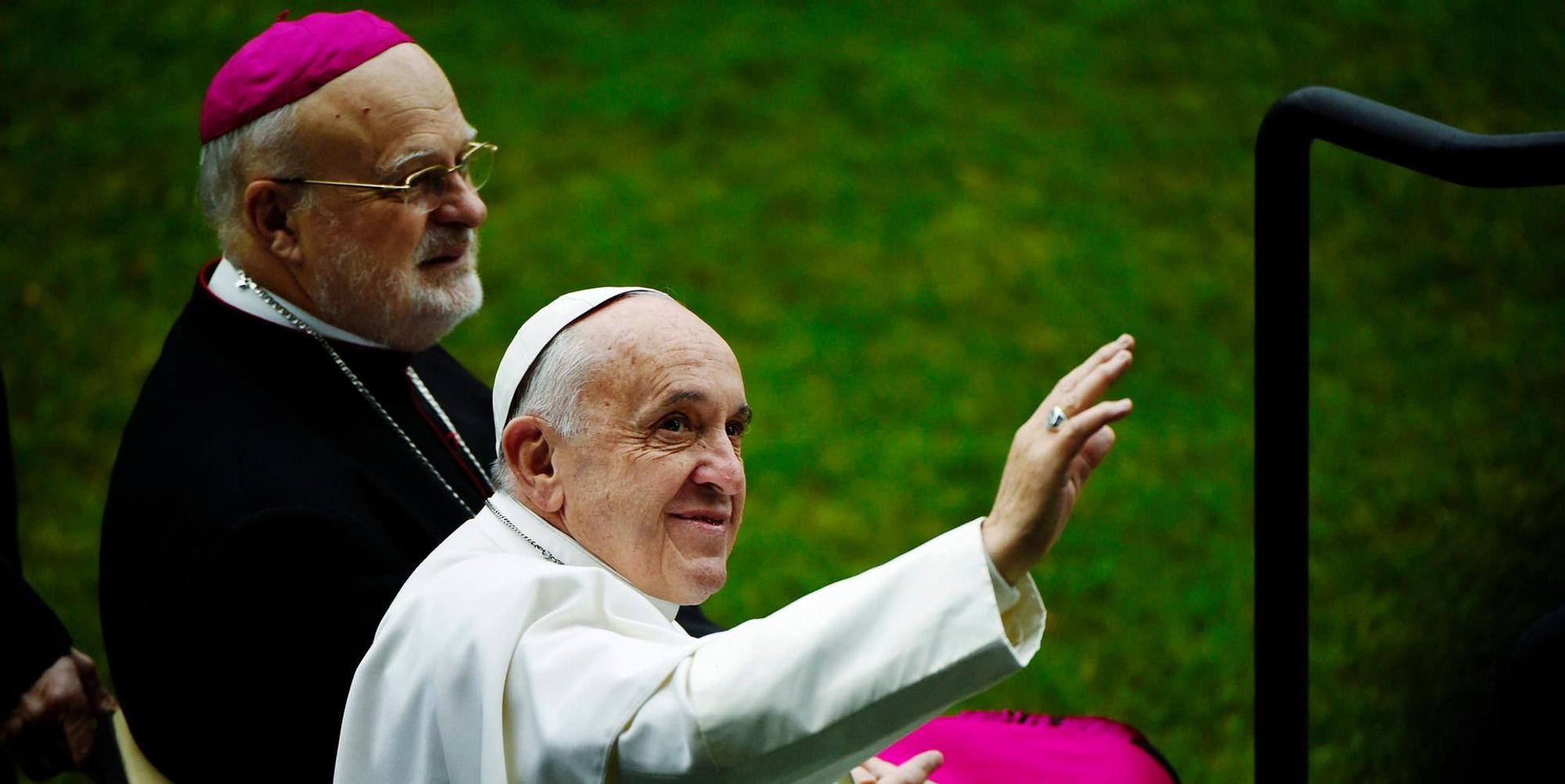 Arborelius und Papst