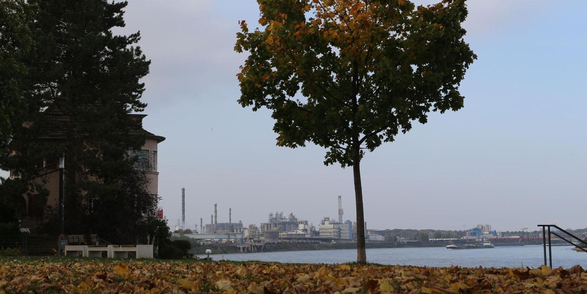 wesseling rheinpromenade