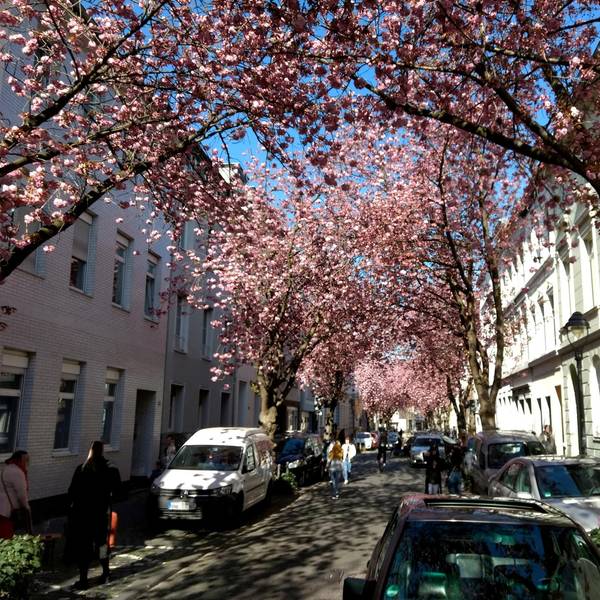 heerstrasse2_pix