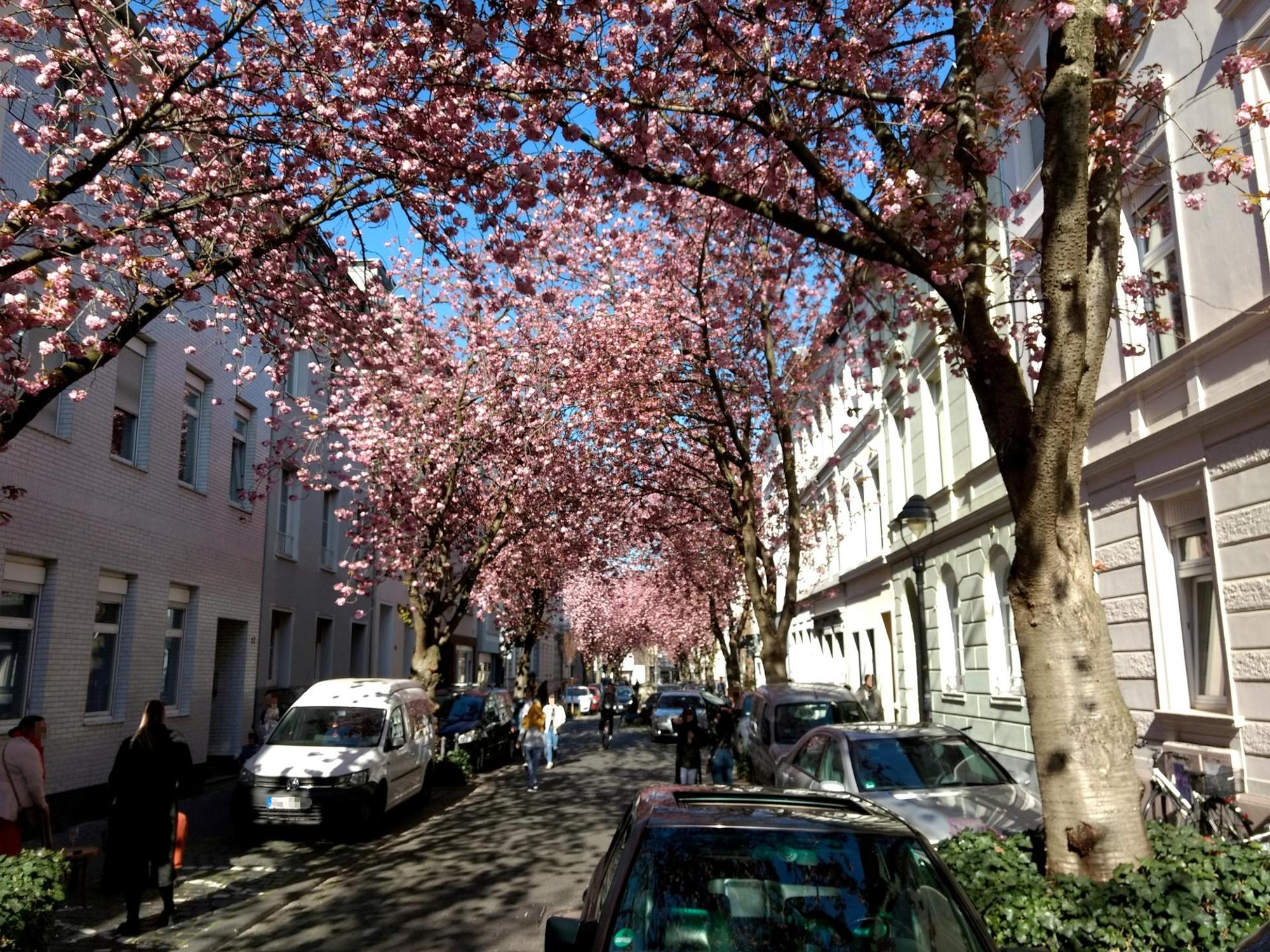 heerstrasse2_pix