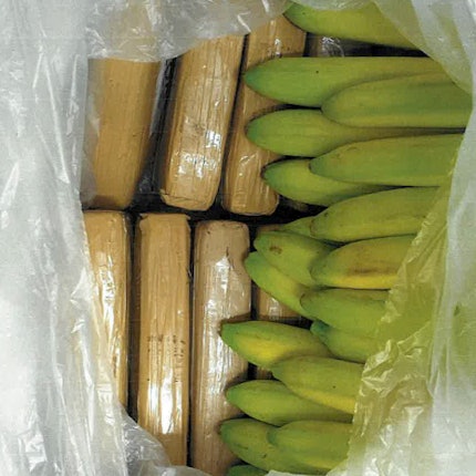 Drogen_in_Bananenkisten