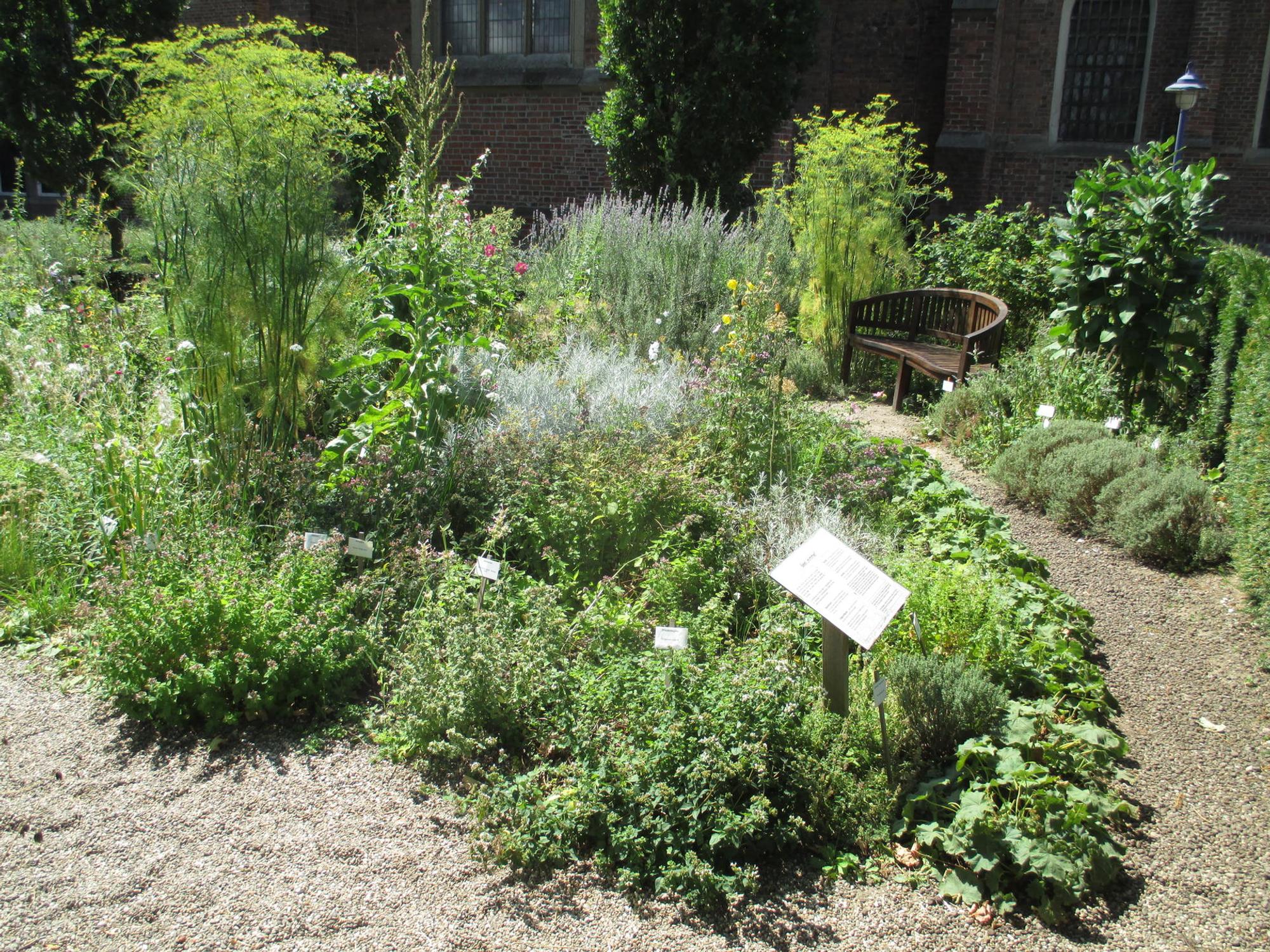 Kamp-Lintfort-Kloster_Kamp-Kräutergarten_Wiki_datDoris4.0