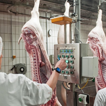 Schlachthaus Schweinehälften