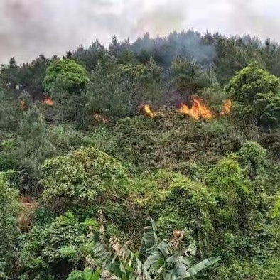 Flugzeugabsturz China dpa 210322