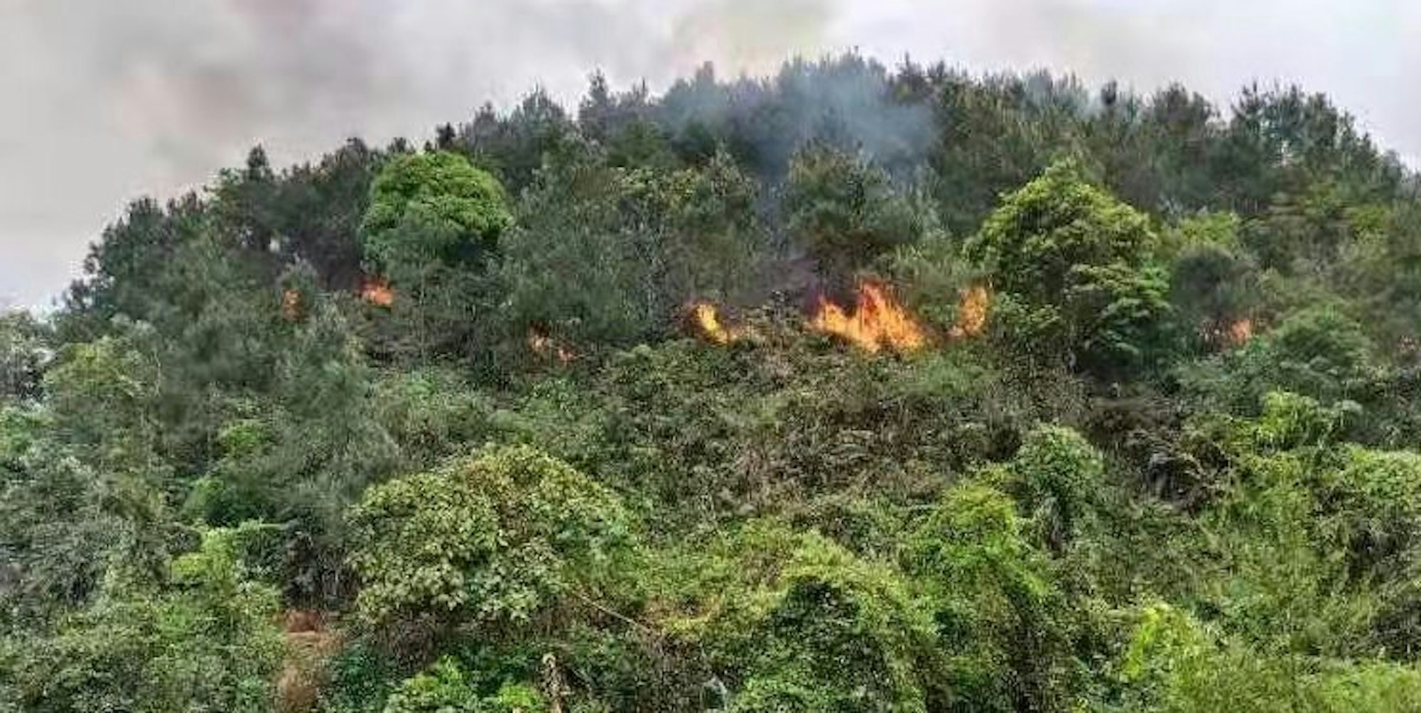 Flugzeugabsturz China dpa 210322