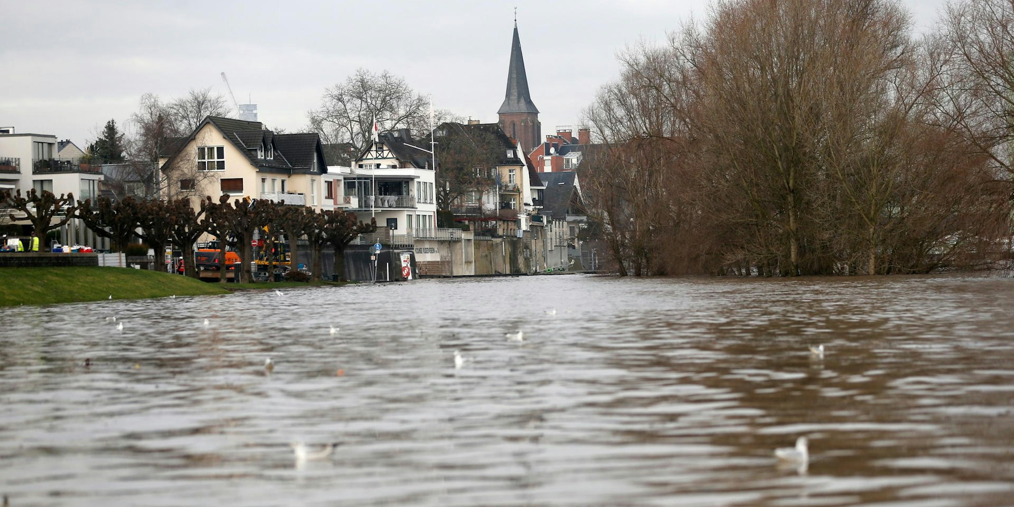 20200205_Hochwasser_Rodenkirchen_002
