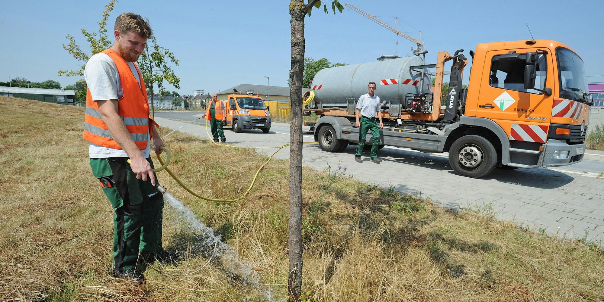 le-baeume-gieszen_(4)