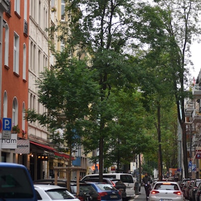 Engelbertstrasse 1 RAKO