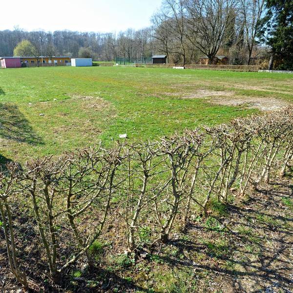 WU_Parkplatz-Balker-Aue_02