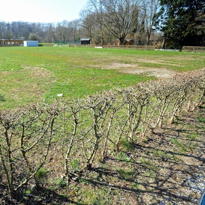 WU_Parkplatz-Balker-Aue_02