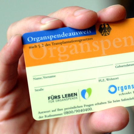 Organspenden_63027085