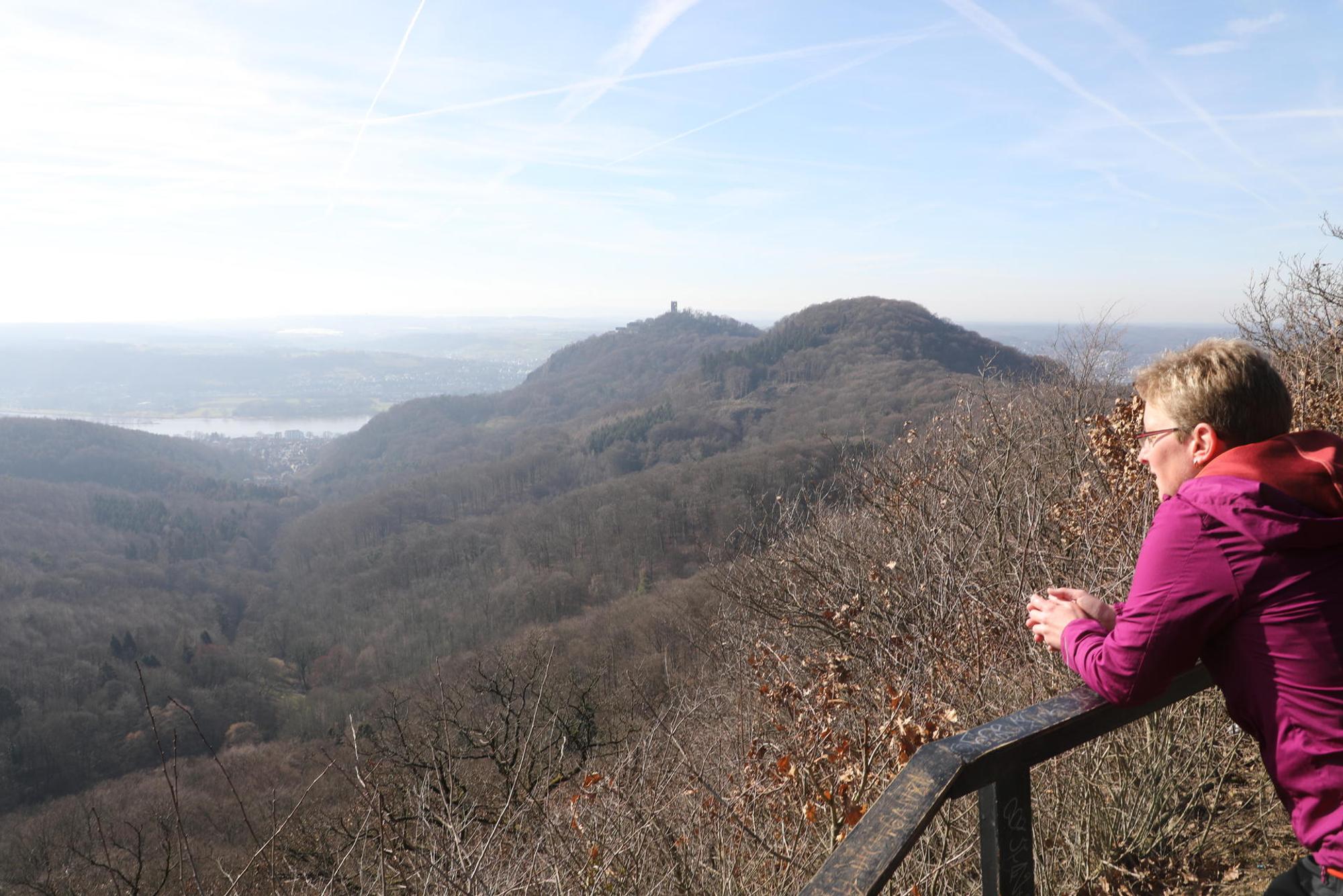 Bergischer Weg Rheinsteig Löwenburg, Großer Breiberg