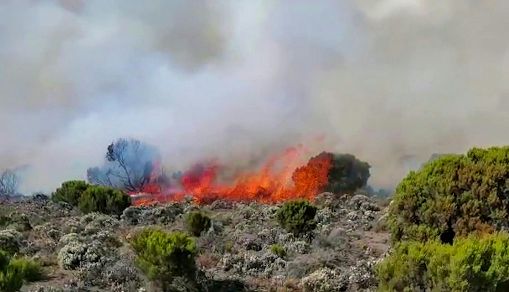 Kilimandscharo Feuer 2