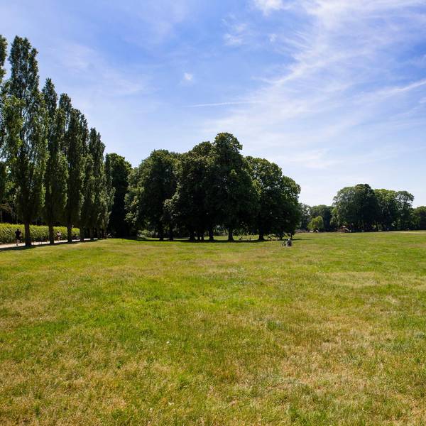 20200521_tb_Vorgebirgspark_013
