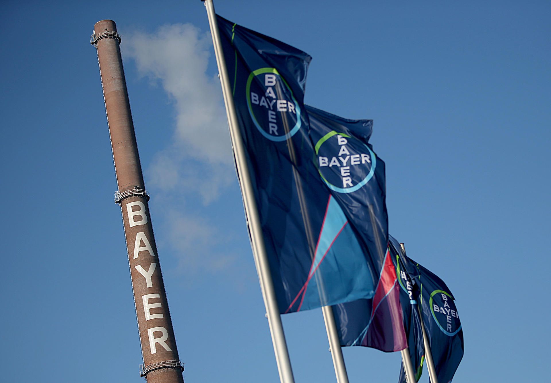 Bayer-Fahnen Symbol Bayer Leverkusen