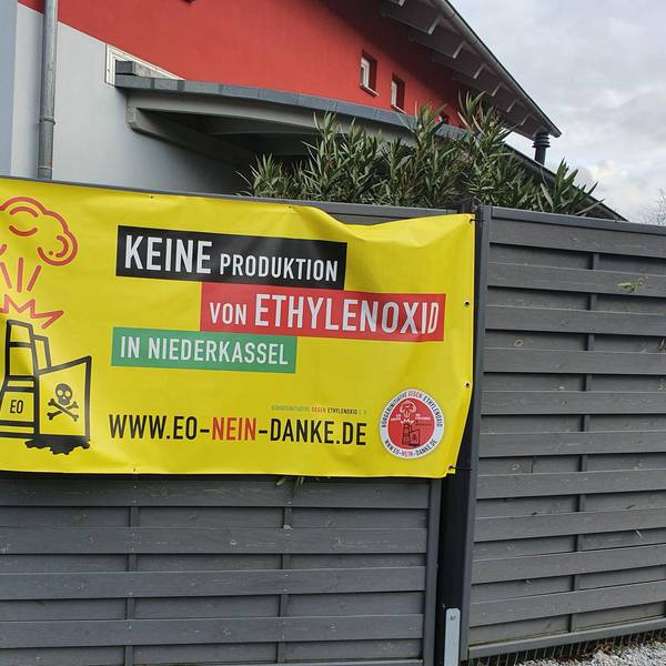 Neuer Inhalt