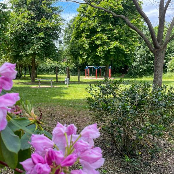 20220519-nip-ber-gruene-lunge-2
