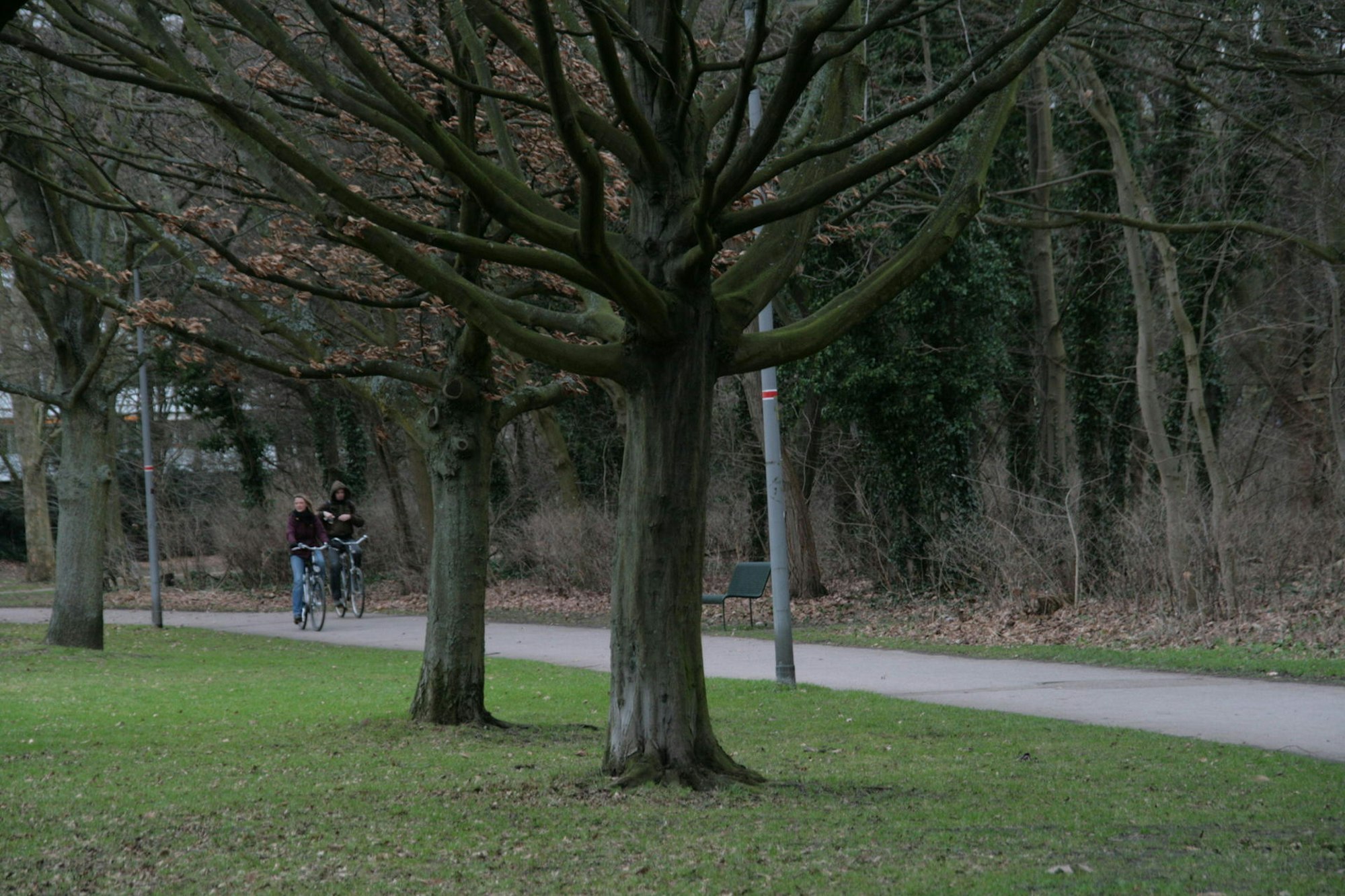Köln Zollstock Vorgebirgspark (1)