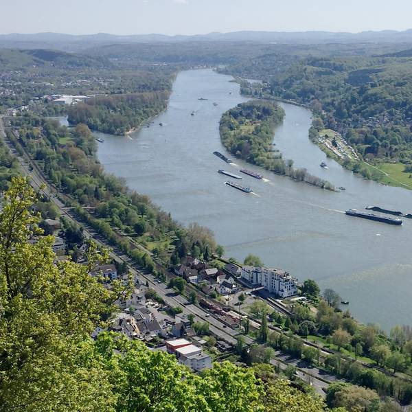 Heimatcheck Königswinter
