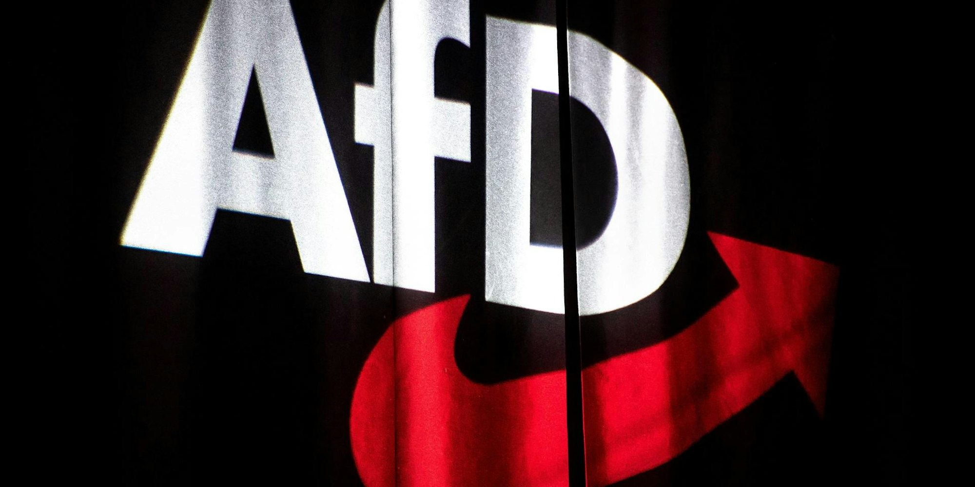 Logo AfD Symbolbild