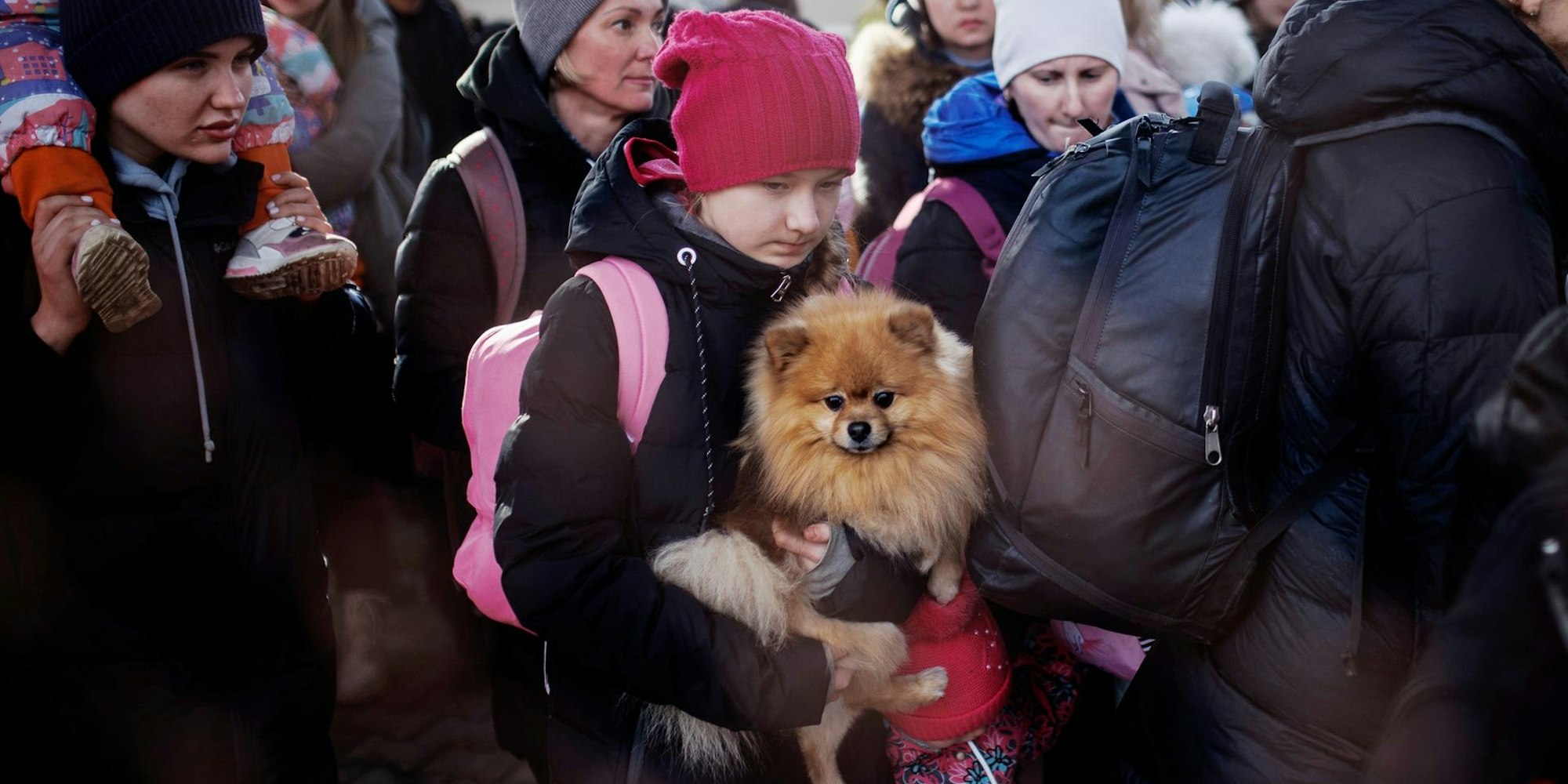 Flüchtlinge mit Haustier