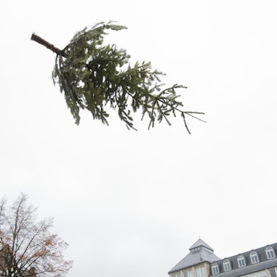 weihnachtsbaum werfen symbol