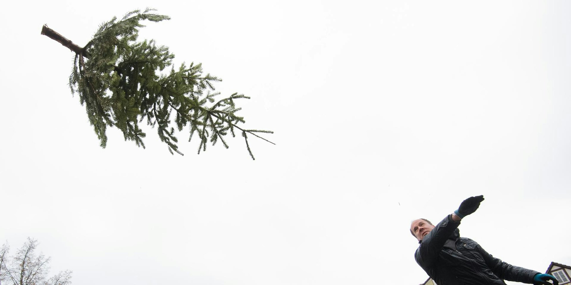 weihnachtsbaum werfen symbol