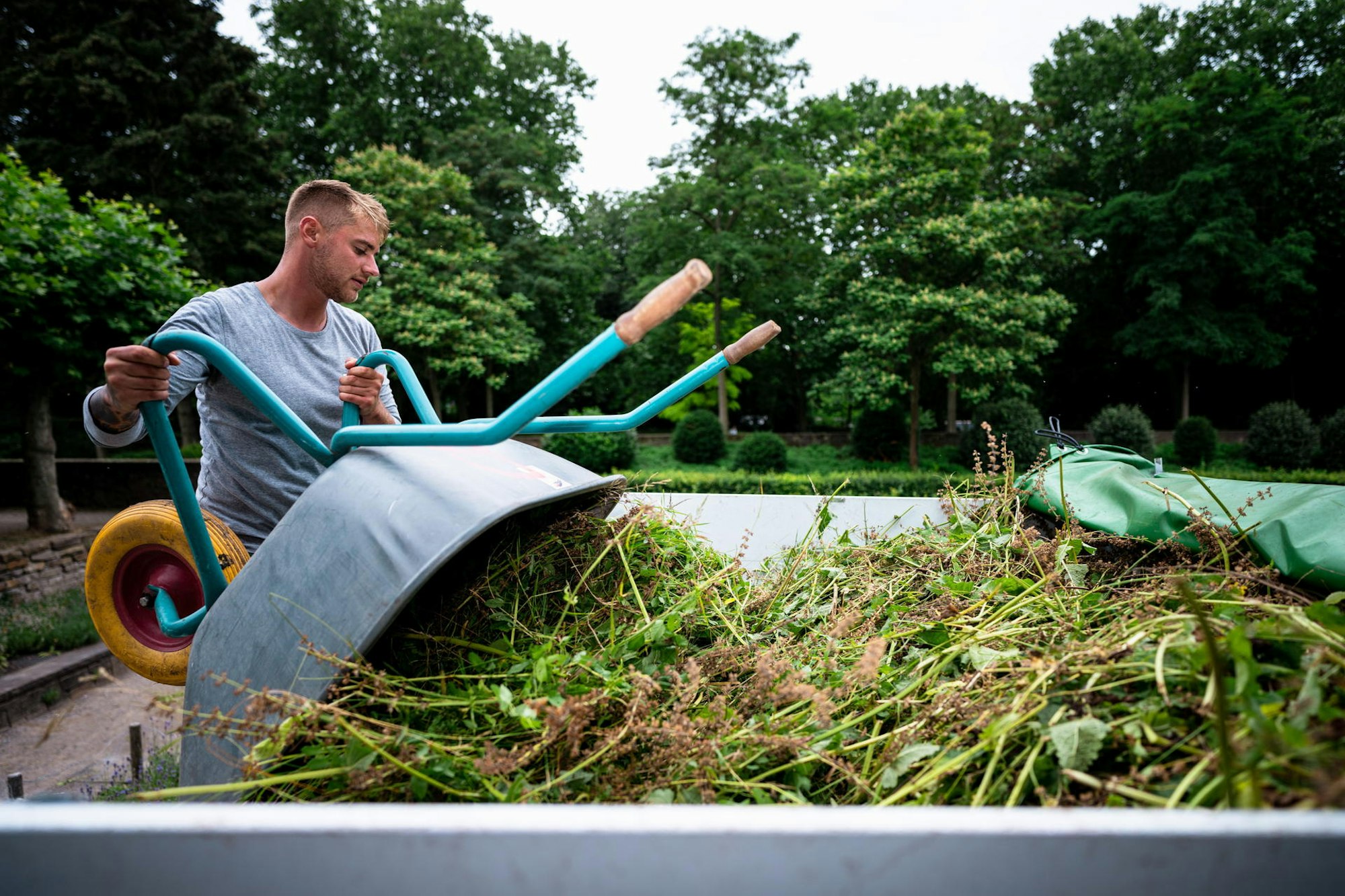 cob_20220629_Gruenflaechenamt_Einsatz_im_Friedenspark_6