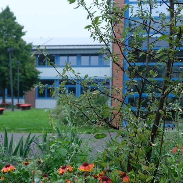 Schule Weilerswist