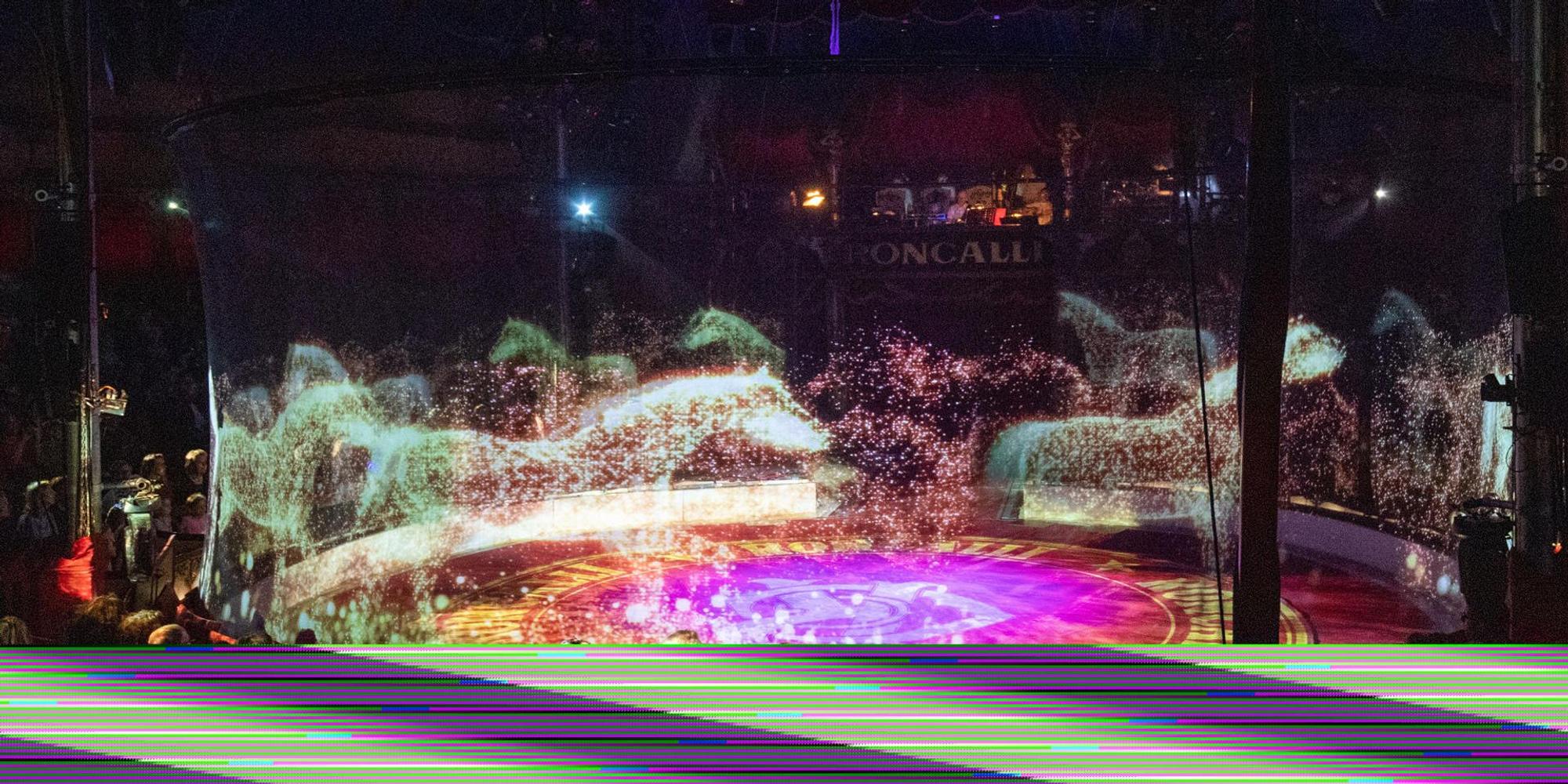 Roncalli Holo