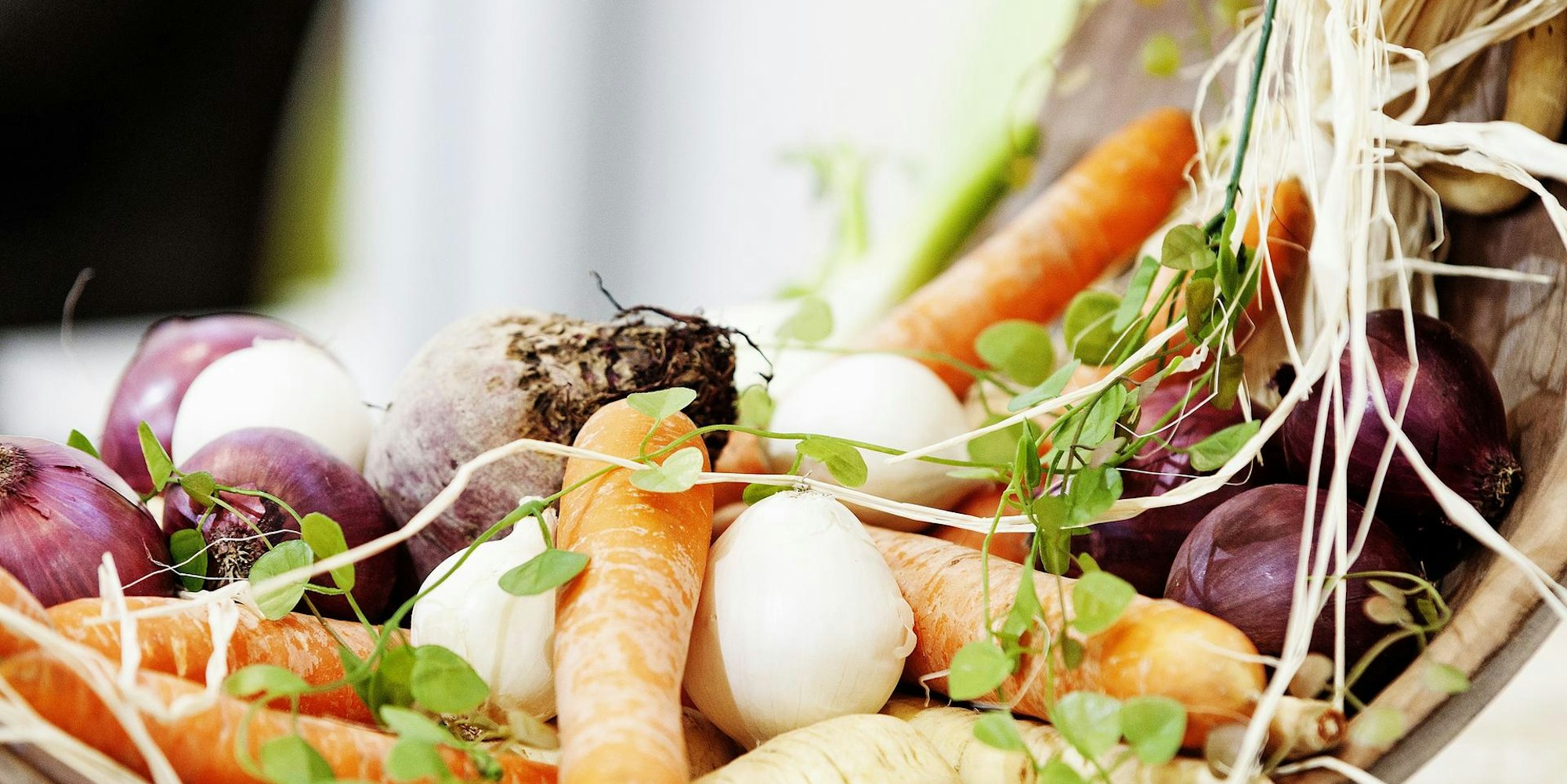 Pastinaken_dpa_62442232