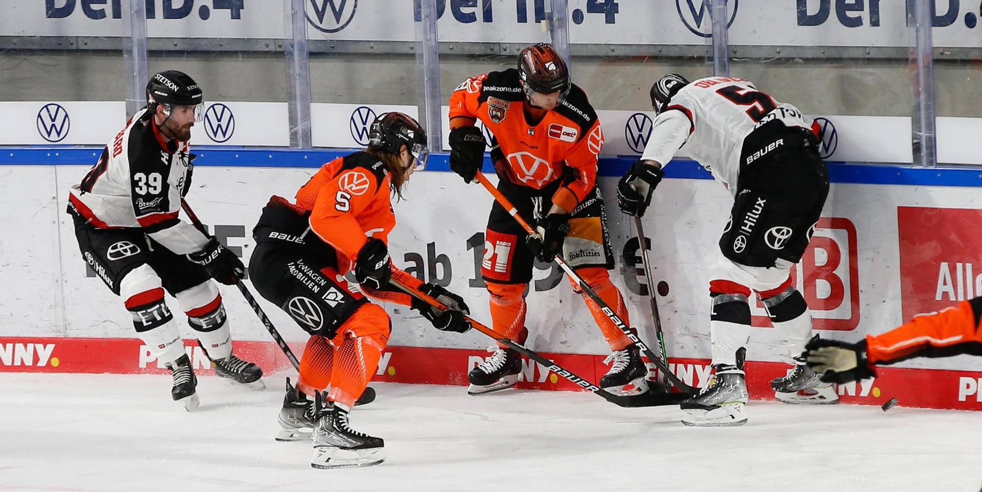 Haie Grizzlys