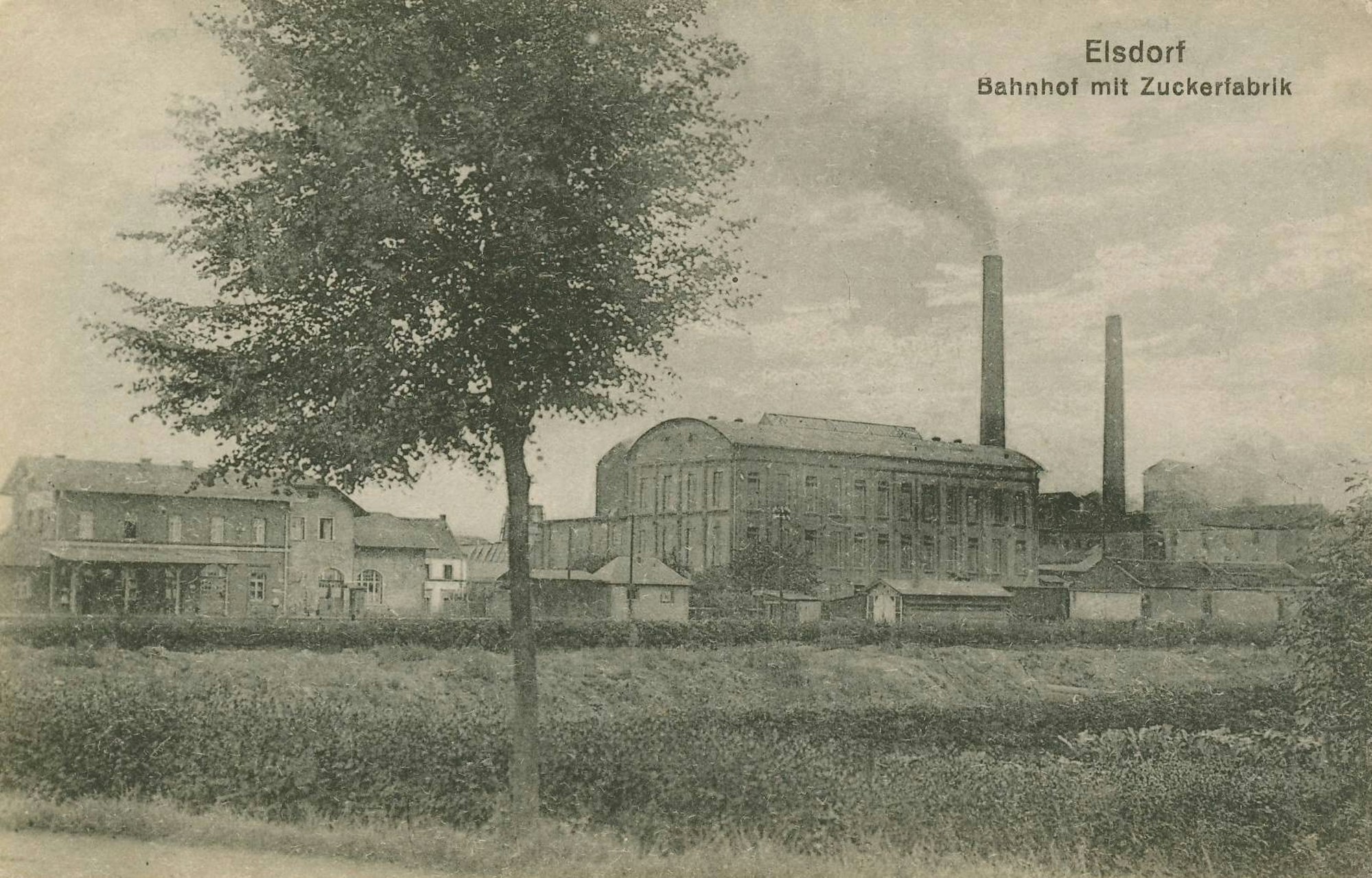 MDS-KSTA-2017-07-01-71-118838777