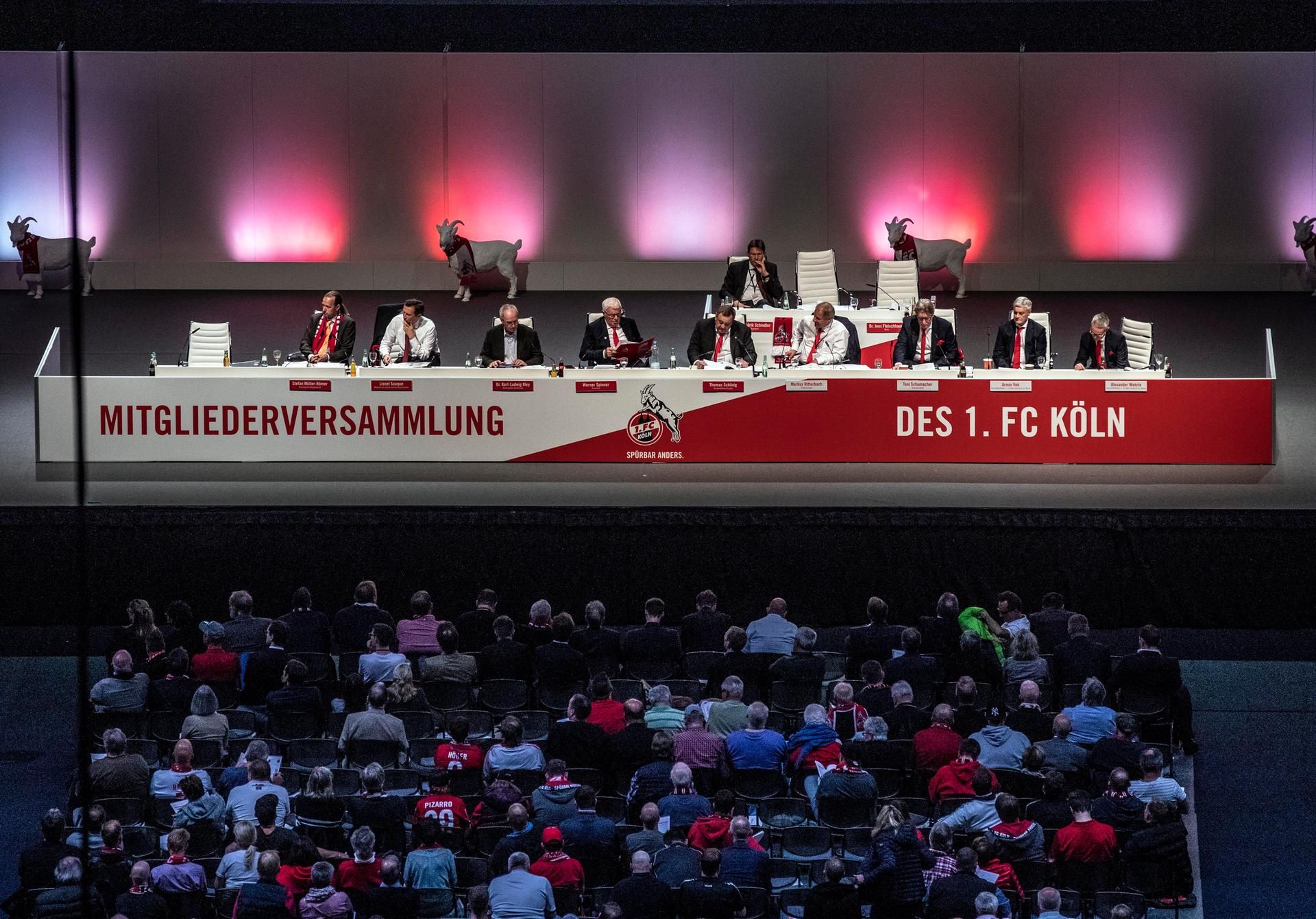 Neuer Inhalt