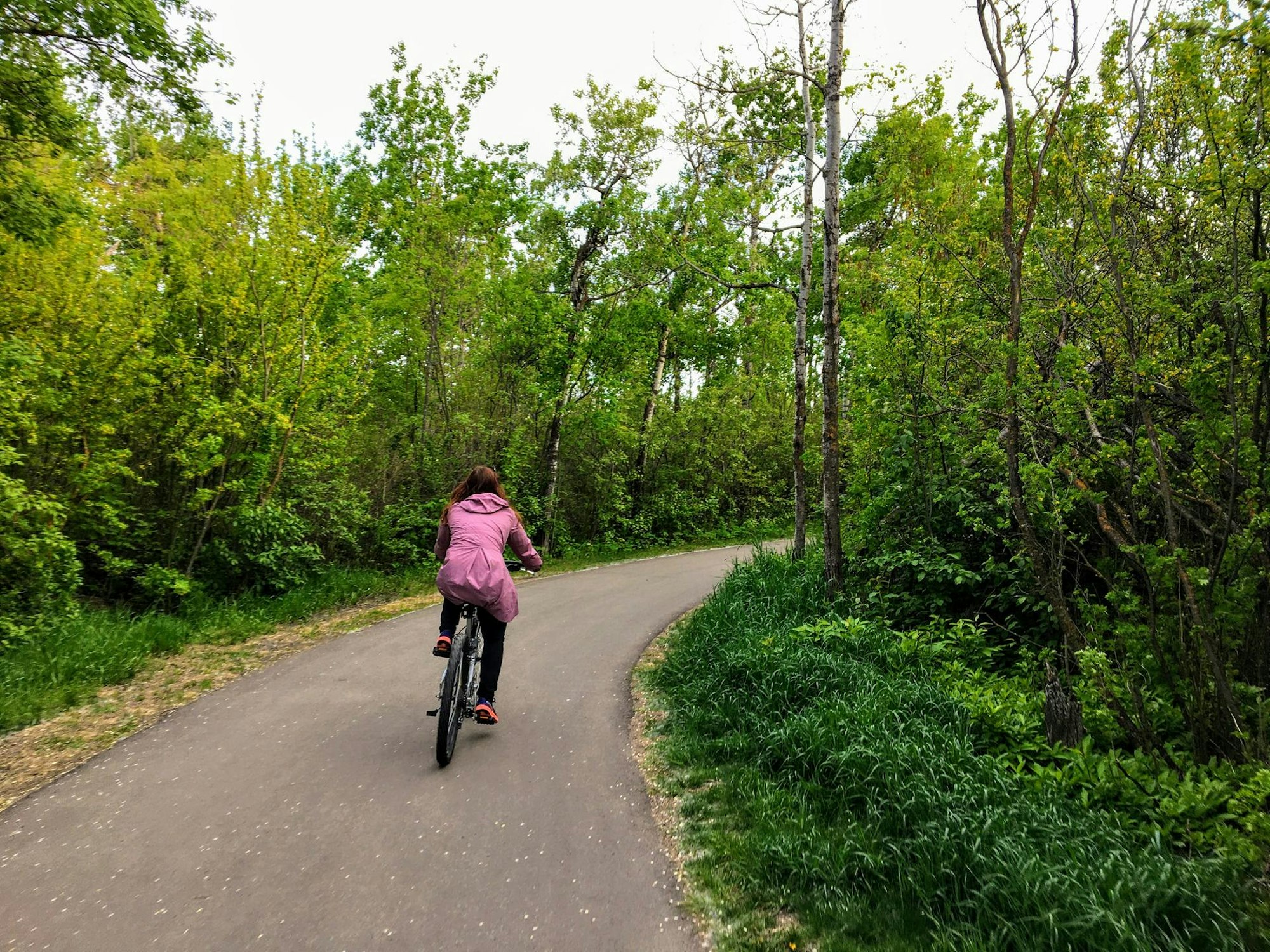 Radtour SymbolGettyImages_ChrisBabcock-1238818058