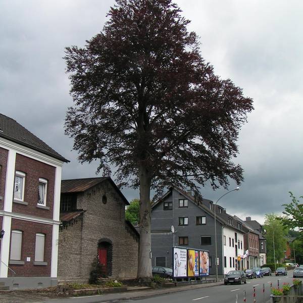 Neuer Inhalt