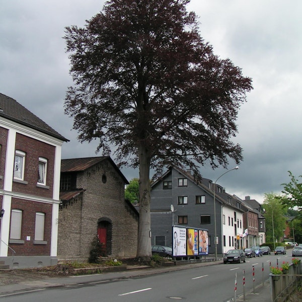 Neuer Inhalt