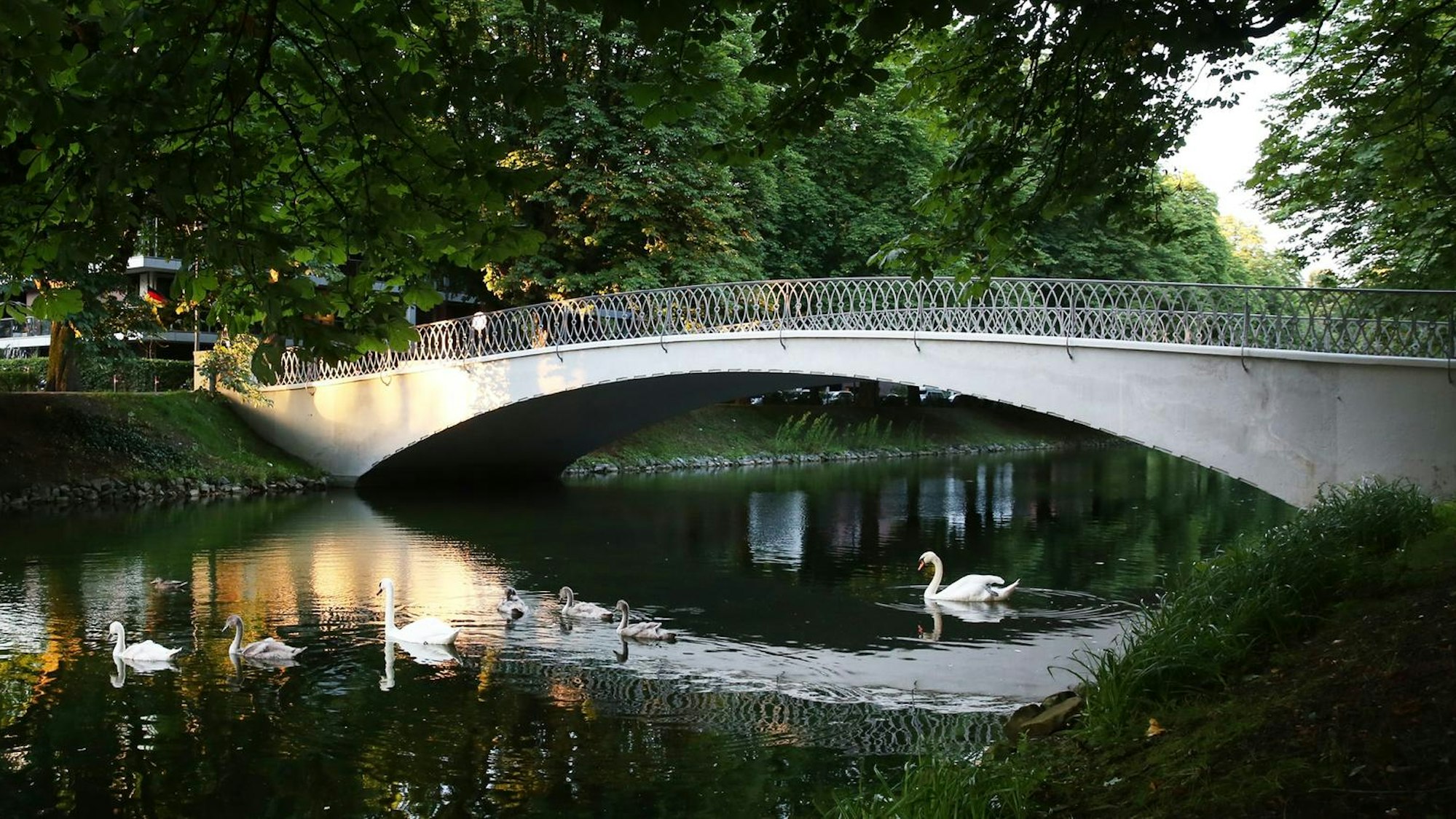 Die Brücke am Clarenbachkanal in Köln