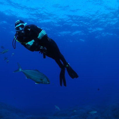 Taucher Mallorca dpa 2012