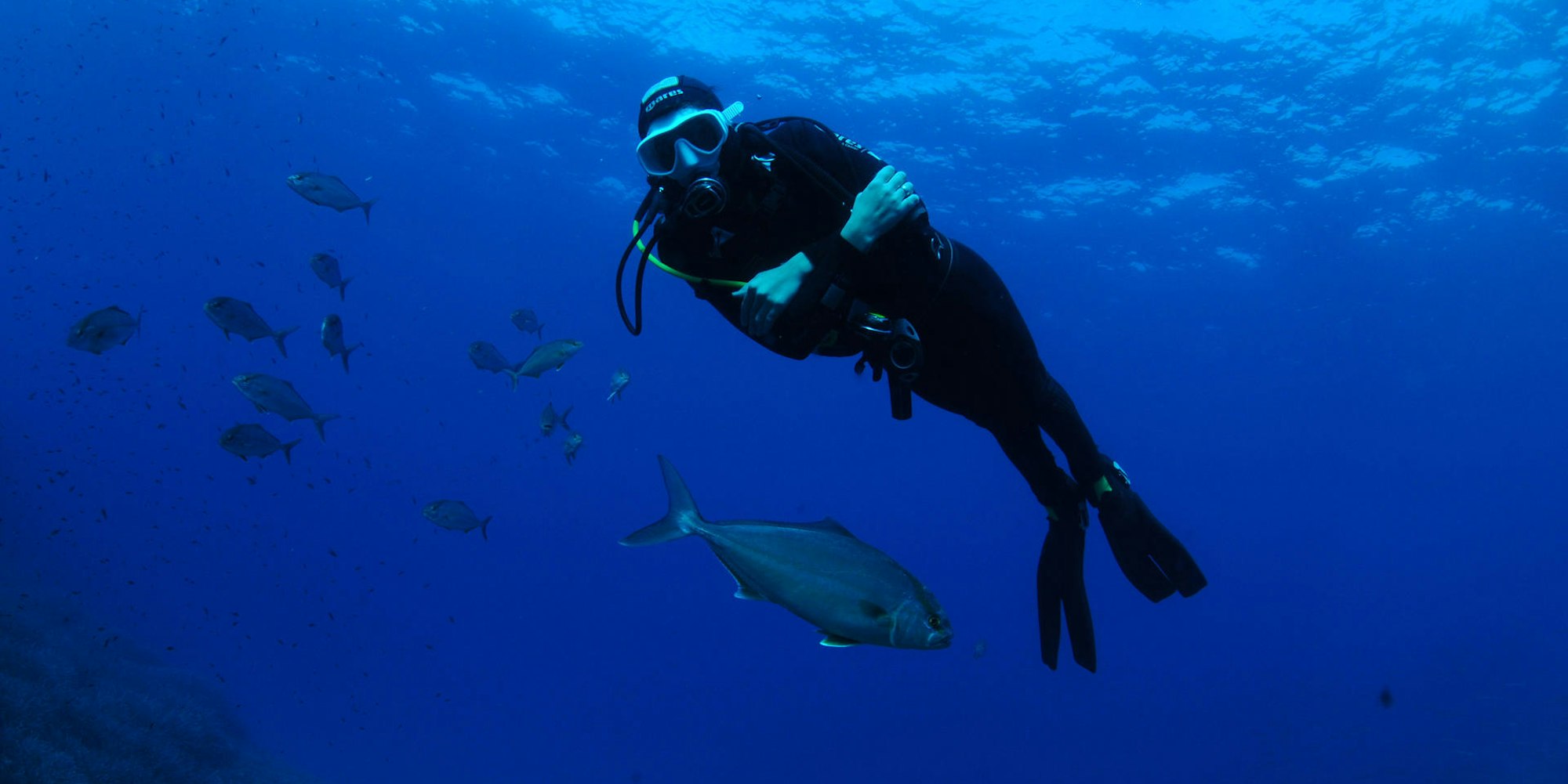 Taucher Mallorca dpa 2012