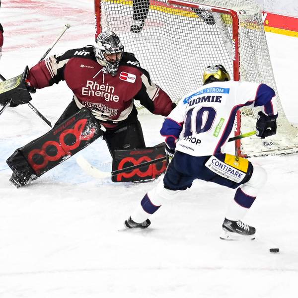 Pogge in Köln