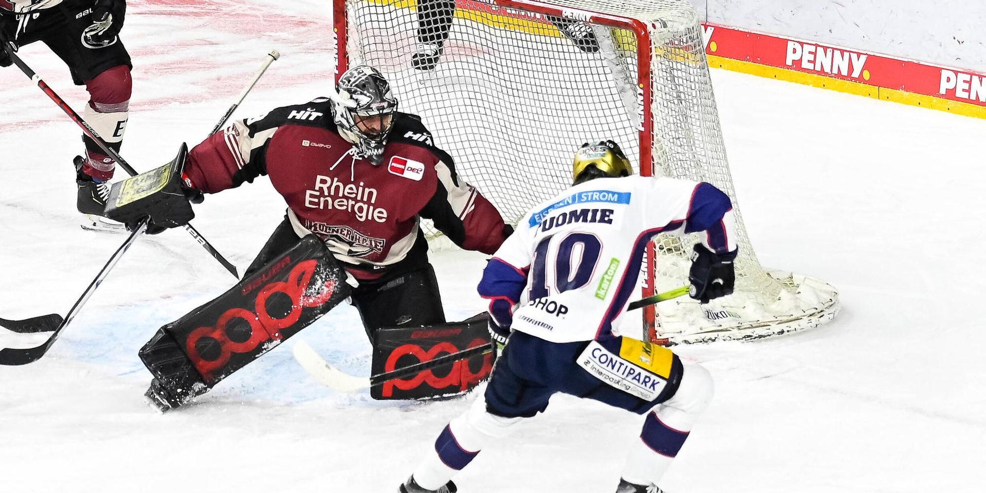 Pogge in Köln