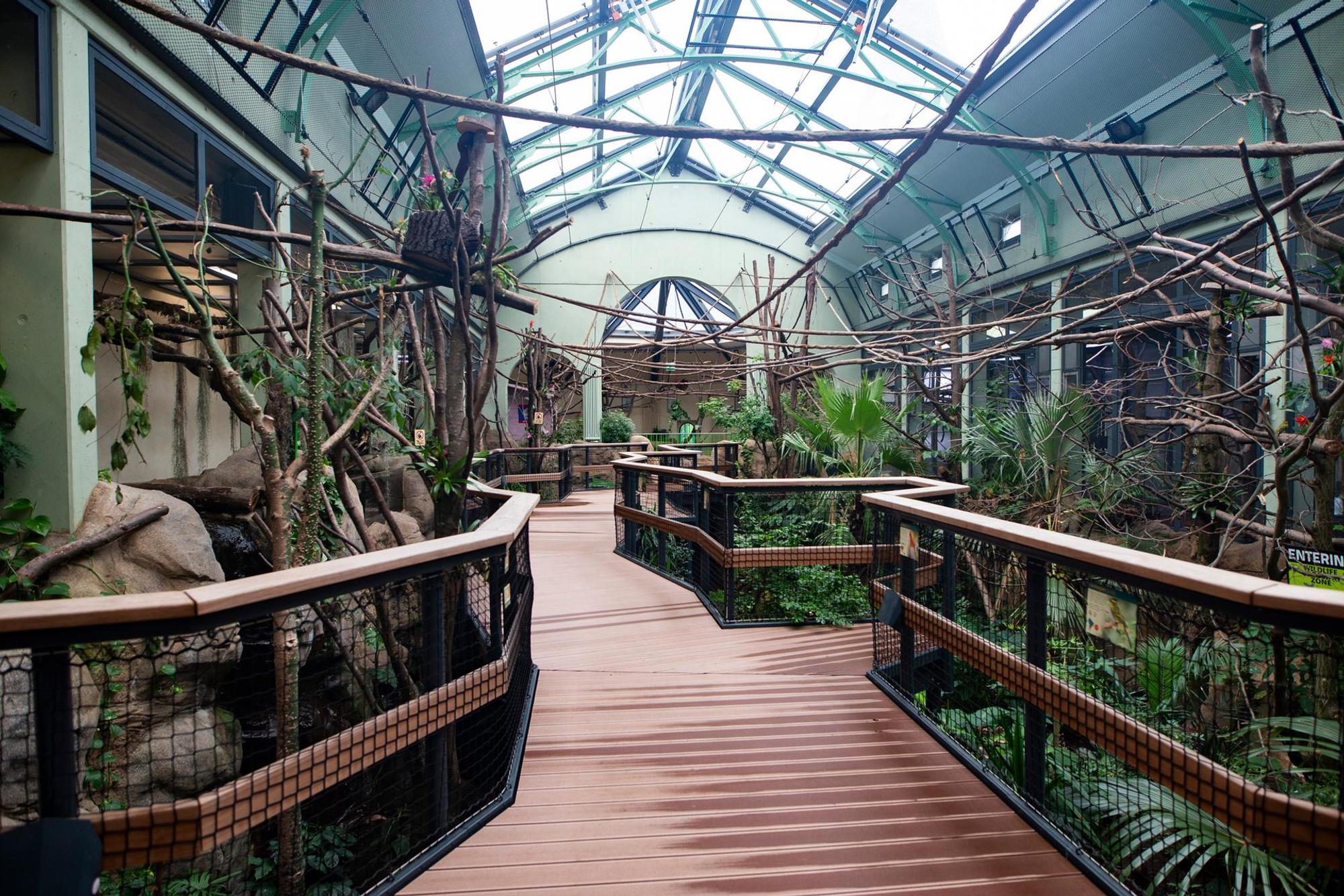 Kölner Zoo Südamerikahaus 3