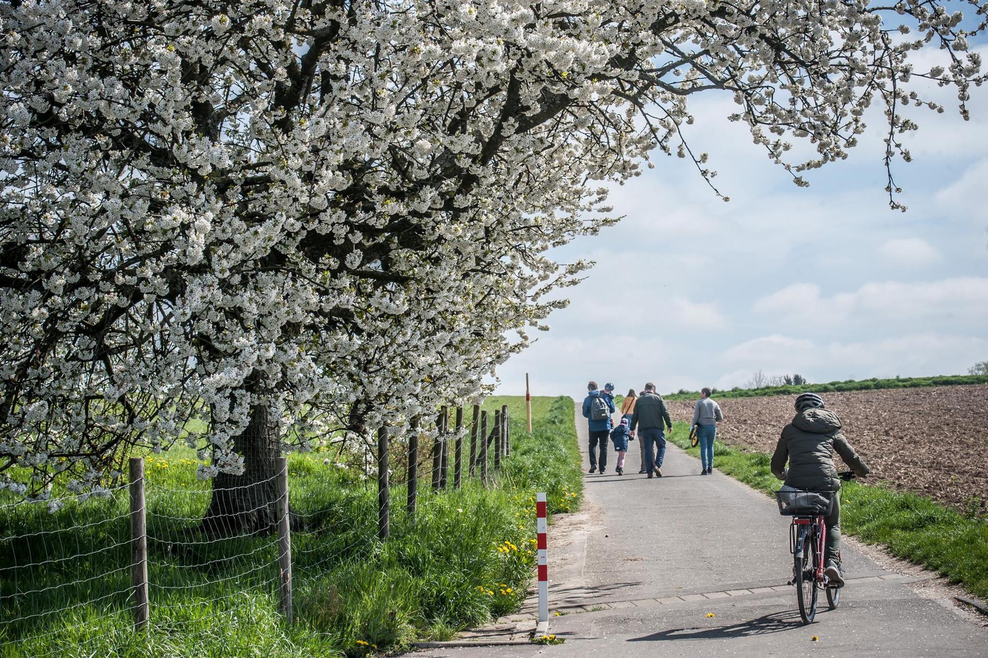 obstweg-leichlingen_rar_rle_04152022ALF_5005